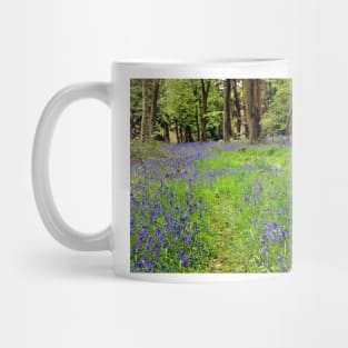 Bluebell Woods Basildon Park Berkshire UK Mug